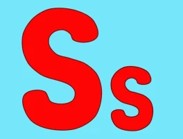 S&P 493: The Hidden Dynamics of its Evolving Index and Breakthrough ETF Opportunities